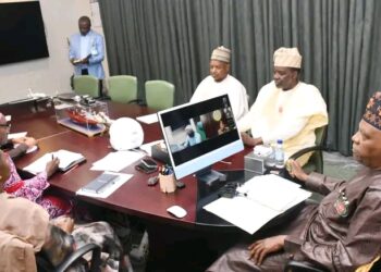 NEC Sets Up Committee to Implement Livestock Reform Programme