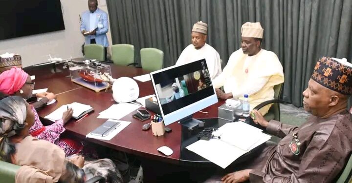 NEC Sets Up Committee to Implement Livestock Reform Programme