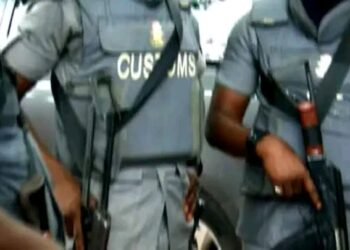 Customs Seize N24.3m Donkey Skins in Bauchi