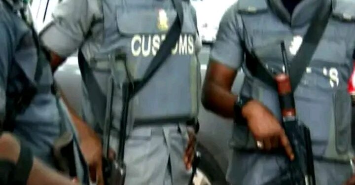 Customs Seize N24.3m Donkey Skins in Bauchi