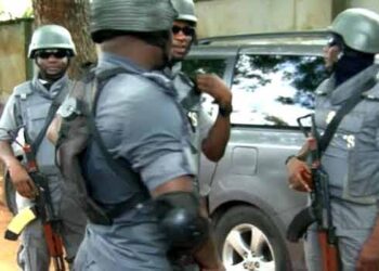 Customs Vow Crackdown on Smugglers in Ogun