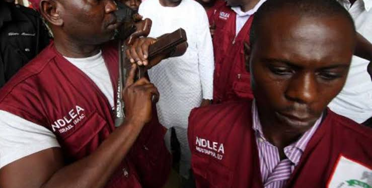NDLEA Arrests Fleeing Bandits’ Drug Supplier in Niger