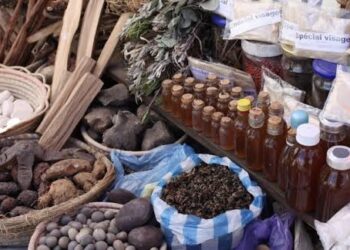 WHO Unveils Traditional Medicine Global Library