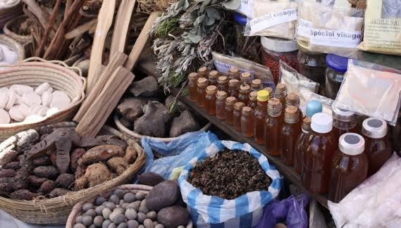 WHO Unveils Traditional Medicine Global Library