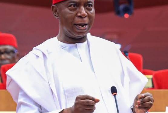 Cyber Harassment: Nwoko Vows Lawful Action Against Perpetrators