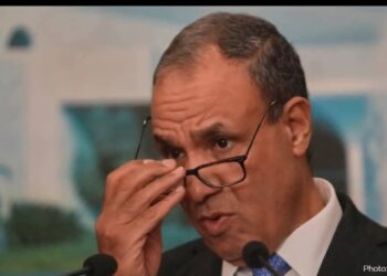 Egypt Calls For Urgent African Union Meeting to Reject Israeli Meddling in Somali Affairs