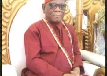 Delta Traditional Ruler Traces Anioma People Ancestry to Igbo, South East