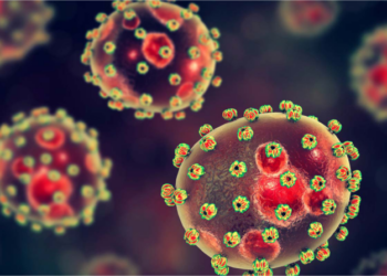 Lassa Fever Kills Two in Plateau