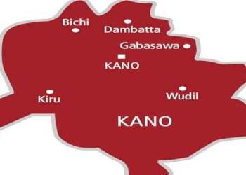 FG Empowers 9,870 Kano Farmers With Inputs, Modern Rice Technologies