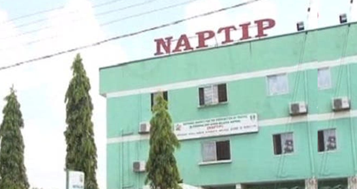 Human Trafficking: NAPTIP Hands Over 11 Male Victims to Jigawa LGA
