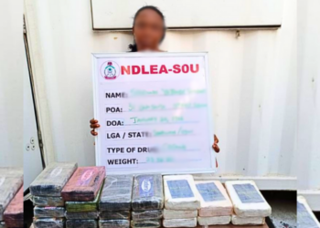 Woman Hides 23.50kg Cocaine Worth ₦5bn In Children’s Room – NDLEA