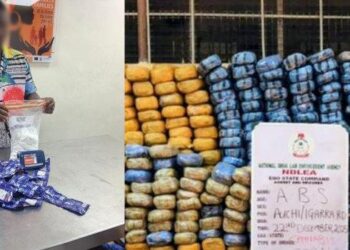 NDLEA Busts UK-Bound Cocaine Ring, Nabs Ex-Convict