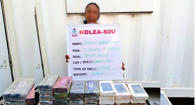 Woman Hides 23.50kg Cocaine Worth ₦5bn In Children’s Room – NDLEA