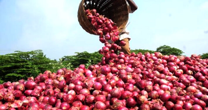 Farmers Predict Soaring Cost of Onions as Christmas Approaches