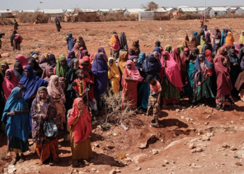 Nigeria Reaffirms Support For Somalia’s Sovereignty