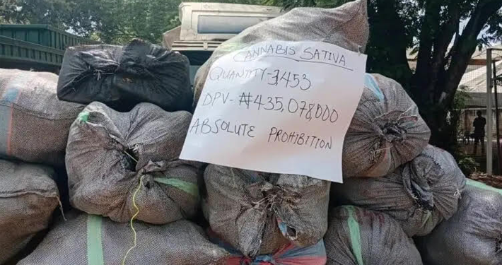 Customs Intercept N435 Million Worth of Cannabis in Ogun