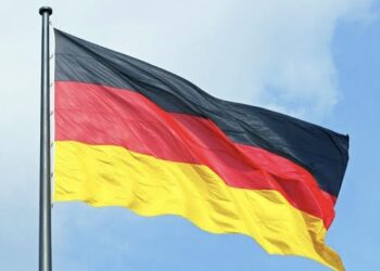 Hundreds of Pigs Die in Germany Barn Fire