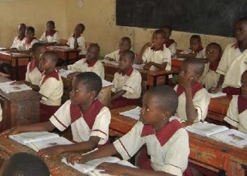 WHO Advocates Healthy Diets For Schoolchildren