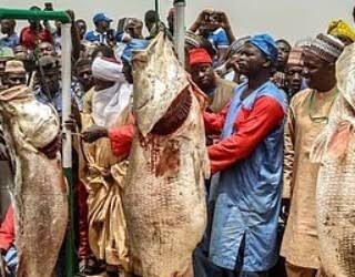 Emir of Argungu Inaugurates 21 Sub-Committees for 2026 Fishing Festival