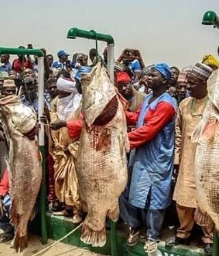 Emir of Argungu Inaugurates 21 Sub-Committees for 2026 Fishing Festival