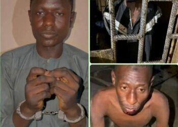 Kano: Police Arrest Three Suspects Over Alleged Murder of Woman, Six Children