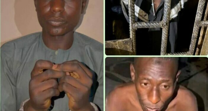 Kano: Police Arrest Three Suspects Over Alleged Murder of Woman, Six Children
