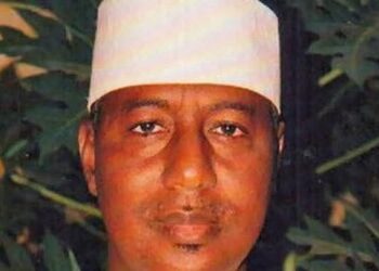 Tinubu Approves Posting of Four Ambassadors, Begins Turkey Visit Next Week