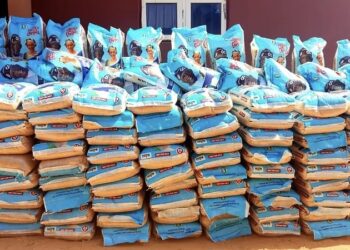 Group Donates 1,200 bags of Rice to Christian Communities in Kebbi