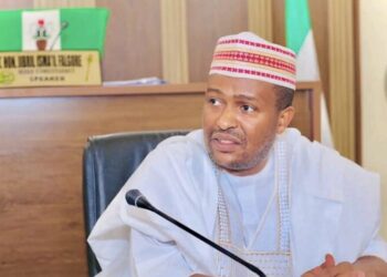 Kano Assembly Speaker Condemns Murder of Mother, Six Children