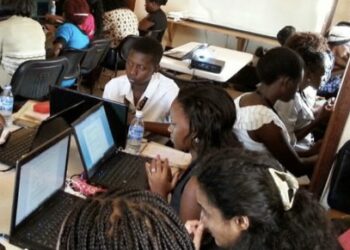 Nigeria, Other African Nations Urged to Prioritise Inclusive Design, Digital Skills
