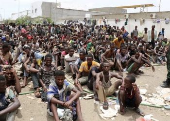 Repatriation: First Batch of 300 Refugees Returns to Borno From Cameroon