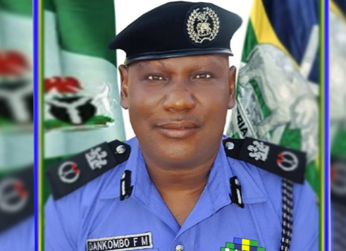 Adamawa: Police Begin Investigation Over Alleged Acid Attack on Teenager
