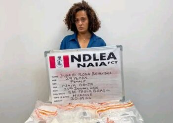 NDLEA Recovers Tons of Illicit Drugs in Raids Across 13 States
