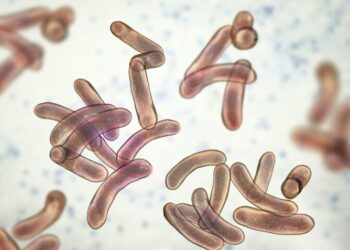 Cholera Remains Continent’s Deadliest Epidemic; Nigeria, Congo, Angola Account For 90% of Cases – Africa CDC