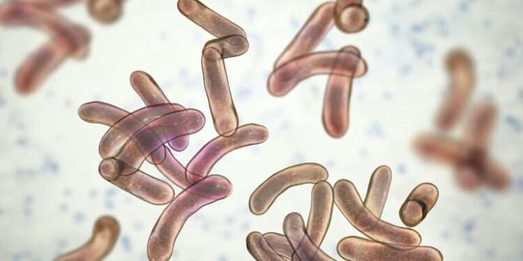 Cholera Remains Continent’s Deadliest Epidemic; Nigeria, Congo, Angola Account For 90% of Cases – Africa CDC