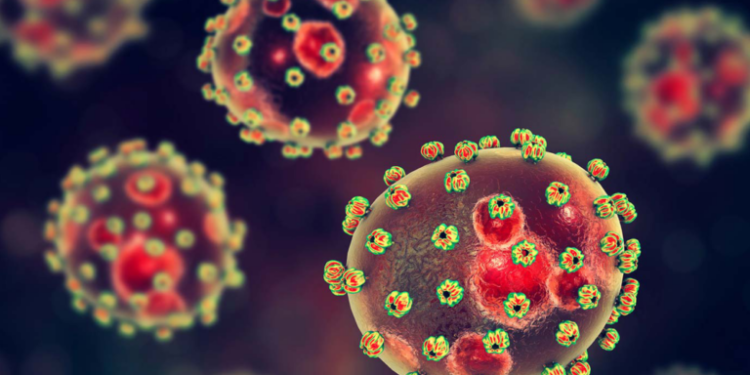 Youths Most Affected in 1,119 2025 Lassa Fever Cases – NCDC