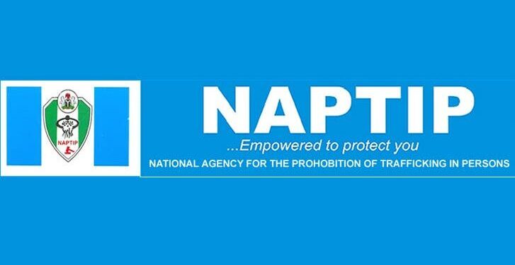 NAPTIP Rescues 58 Missing Children in Benue
