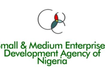 FGN/IFAD-VCDP, SMEDAN Trains Micro Entrepreneurs in Taraba