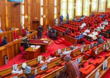 National Assembly Promises to Make Public Certified Copies of Tax Laws Signed by Tinubu