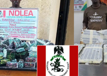 NDLEA Nabbed 77,792 Drug Offenders, Seized 14.8 Million kg of Illicit Drugs in Five Years – Marwa