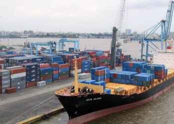 41 Ships Laden With Petroleum Products, Food Items Expected at Lagos Ports