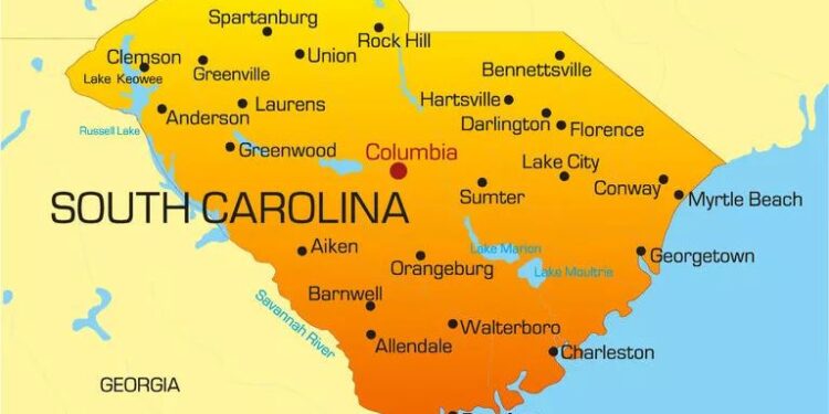 U.S. State South Carolina Records 88 New Measles Cases