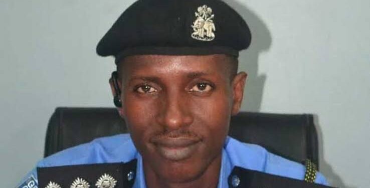 Delta Police Arrest Seven Suspected Drug Dealers