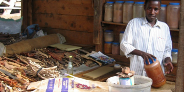 NNMDA Begins Database For Traditional Medicine Practitioners Nationwide