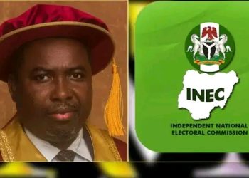 INEC Plans Major Voter Register Clean-Up, New Parties