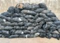NDLEA Seizes 64 Bags of Suspected Cannabis, Arrests Driver in Kano