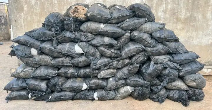 NDLEA Seizes 64 Bags of Suspected Cannabis, Arrests Driver in Kano