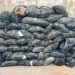 NDLEA Seizes 64 Bags of Suspected Cannabis, Arrests Driver in Kano