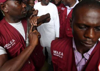 NDLEA Launches ‘Operation Ramadan Mubarak’, Arrests 13 Suspects in Kano