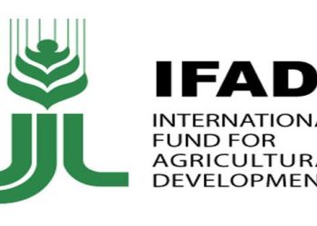 IFAD Programme Boosts Rice, Cassava Production in Niger